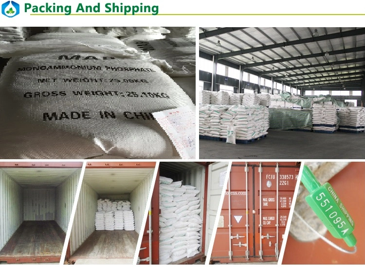 Monoammonium Map Fertilizer 12-61-0 Price Mono Ammonium Phosphate Nh4h2po4