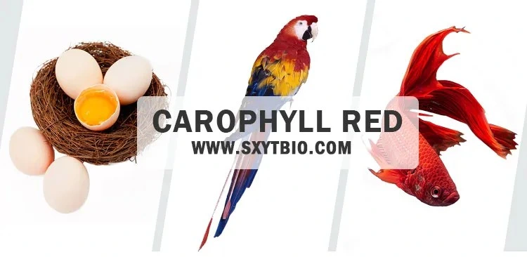 Bulk Sale Carophyll Red Food Colorant CAS 514-78-3 Carophyll Red Powder