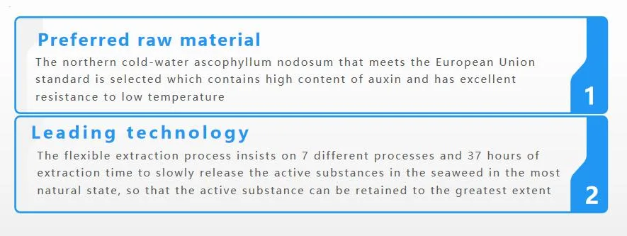 Agricultural Fertilizer Promote Plants Growth and Balance Crops Nutritions